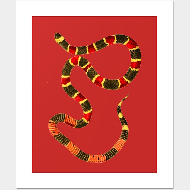 serpent,cobra,reptile,viper,venom,lizard,rattlesnake,king cobra,dragon,hydra,poison,venomous,plumber's snake,pythonidae,pythons,auger,python,squamata,serpentine,worm,big,ophidian,rattlesnakes,medusa,snakebite Wall Art by vabontchi